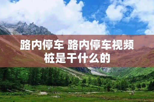 路内停车 路内停车视频桩是干什么的