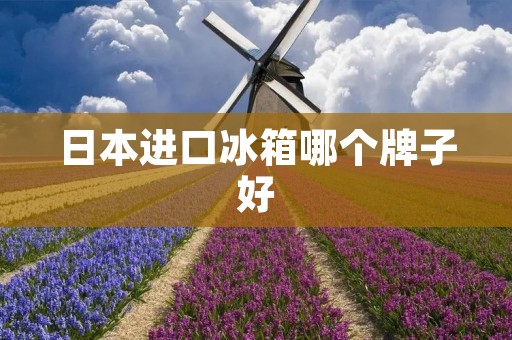 日本进口冰箱哪个牌子好
