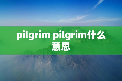 pilgrim pilgrim什么意思 pilgrim pilgrim什么意思