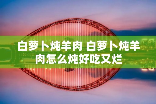 白萝卜炖羊肉 白萝卜炖羊肉怎么炖好吃又烂