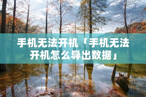 手机无法开机「手机无法开机怎么导出数据」
