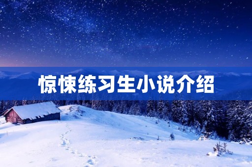 惊悚练习生小说介绍