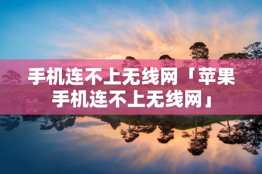 手机连不上无线网「苹果手机连不上无线网」