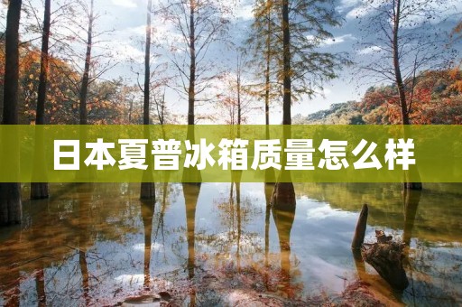 日本夏普冰箱质量怎么样 日本夏普冰箱质量怎么样