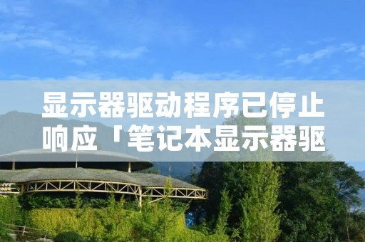 显示器驱动程序已停止响应「笔记本显示器驱动程序已停止响应」