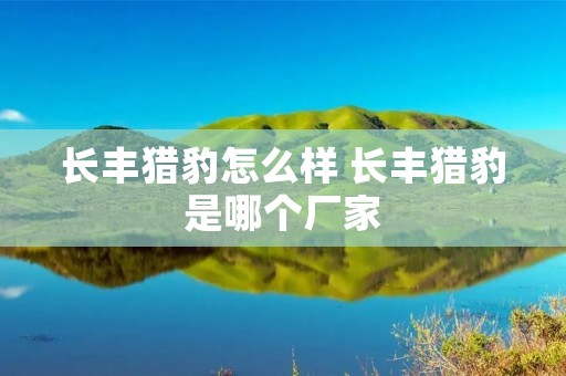 长丰猎豹怎么样 长丰猎豹是哪个厂家