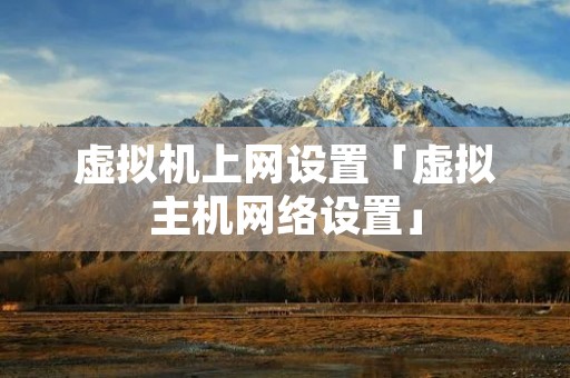 虚拟机上网设置「虚拟主机网络设置」