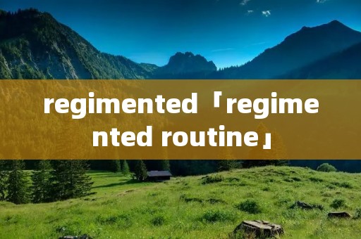 regimented「regimented routine」