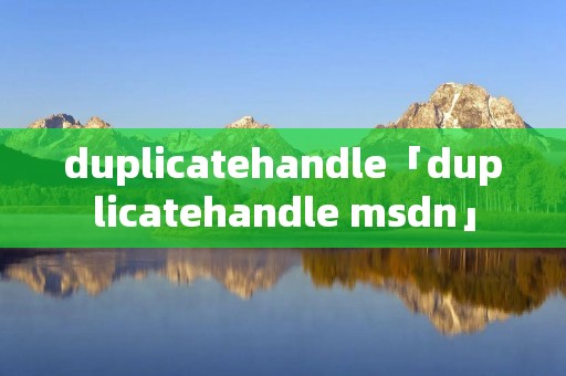 duplicatehandle「duplicatehandle msdn」