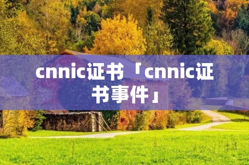 cnnic证书「cnnic证书事件」