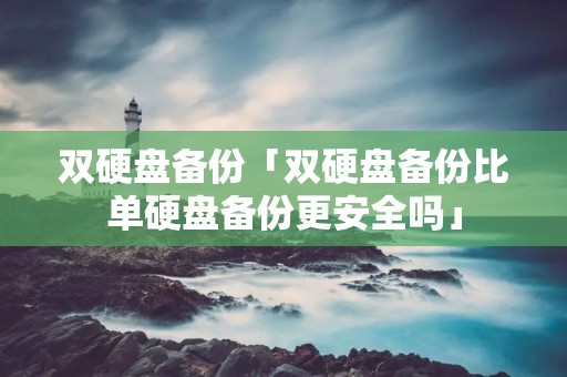 双硬盘备份「双硬盘备份比单硬盘备份更安全吗」