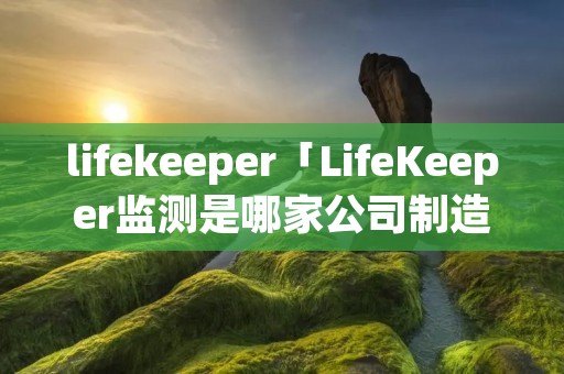 lifekeeper「LifeKeeper监测是哪家公司制造」