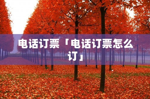 **订票「**订票怎么订」