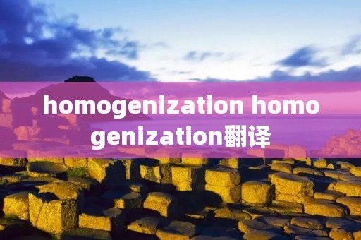 homogenization homogenization翻译