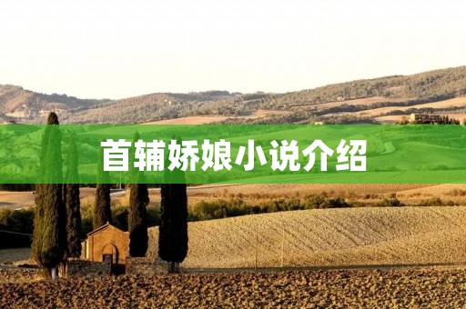 首辅娇娘小说介绍