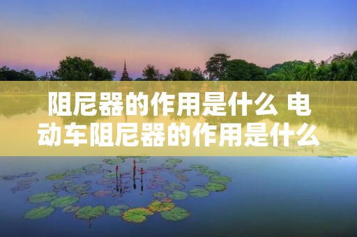 阻尼器的作用是什么 电动车阻尼器的作用是什么