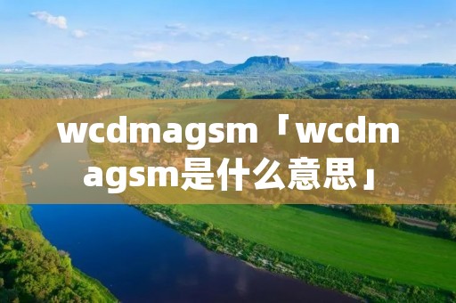wcdmagsm「wcdmagsm是什么意思」