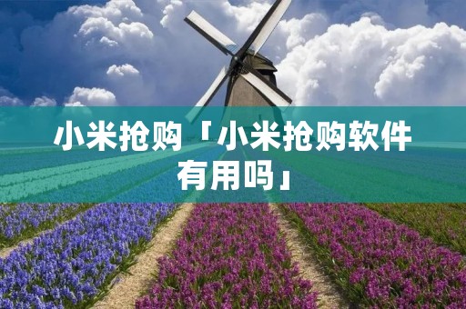 小米抢购「小米抢购软件有用吗」