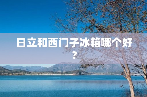 日立和西门子冰箱哪个好？