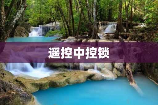 遥控中控锁：为您的安全与便利而设计