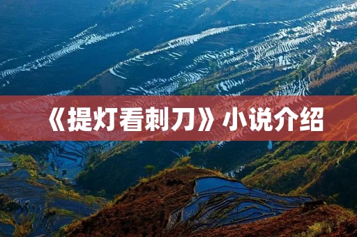 《提灯看刺刀》小说介绍