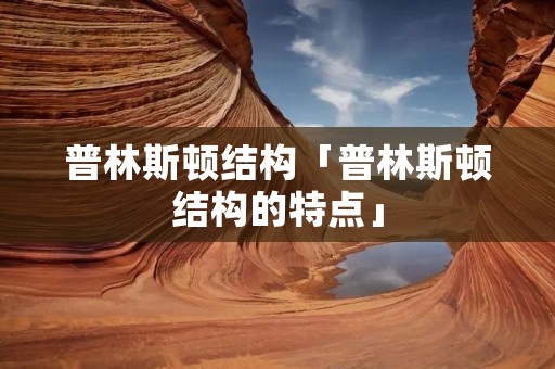 普林斯顿结构「普林斯顿结构的特点」