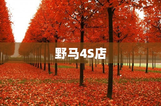 野马4S店：为你带来狂野驰骋的极速体验
