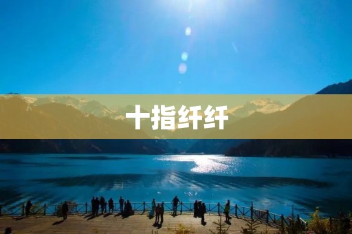 十指纤纤：探寻手指的神奇之处