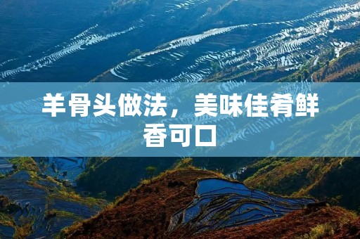 羊骨头做法，美味佳肴鲜香可口