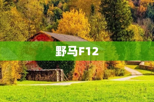 野马F12:释放速度与**的极致驰骋 野马F12:释放速度与**的极致驰骋