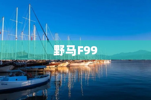 野马F99:以卓越性能引领跑车新潮流 野马F99:以卓越性能引领跑车新潮流