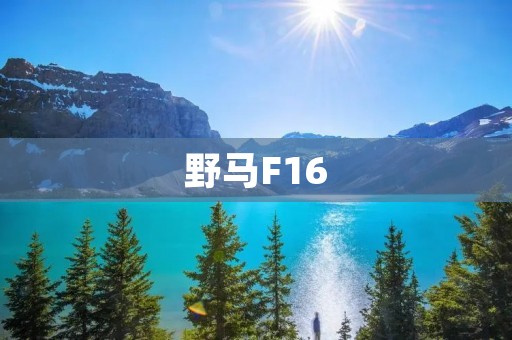 野马F16:腾空翱翔的飞行利器 野马F16:腾空翱翔的飞行利器