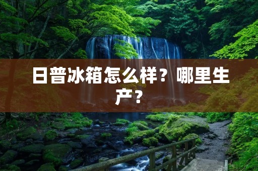 日普冰箱怎么样？哪里生产？