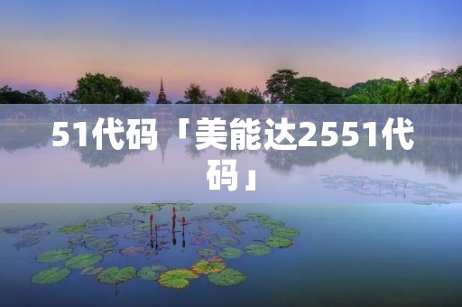 51代码「美能达2551代码」