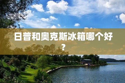日普和奥克斯冰箱哪个好? 日普和奥克斯冰箱哪个好?
