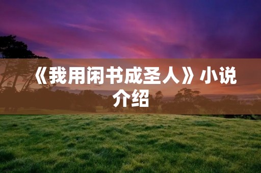 《我用闲书成圣人》小说介绍