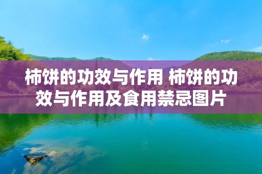 柿饼的功效与作用 柿饼的功效与作用及食用禁忌图片 柿饼的功效与作用 柿饼的功效与作用及食用禁忌图片
