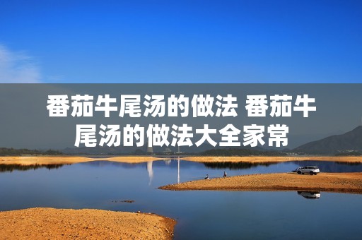 番茄牛尾汤的做法 番茄牛尾汤的做法大全家常