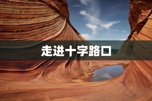 走进十字路口：探索交汇点的多样性