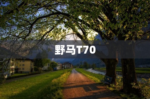 野马T70：开创豪华SUV新纪元的力作