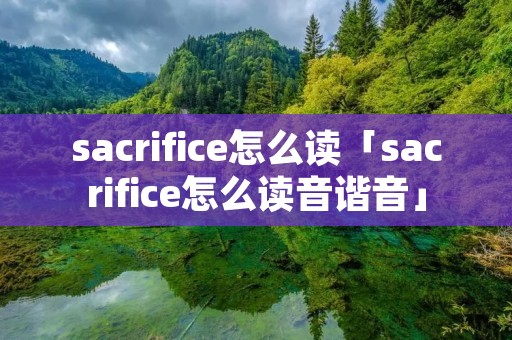 sacrifice怎么读「sacrifice怎么读音谐音」