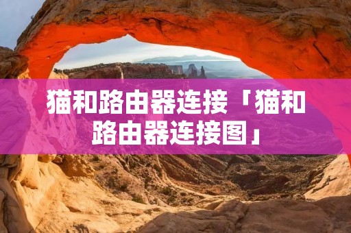 猫和路由器连接「猫和路由器连接图」