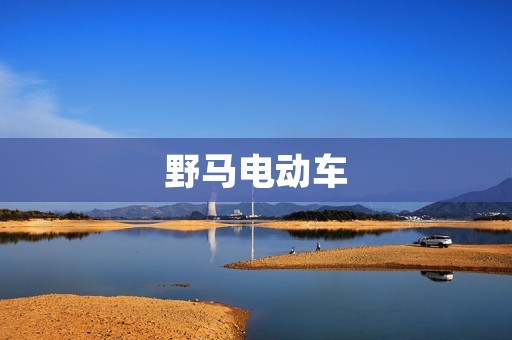 野马电动车：引领时尚出行新潮流