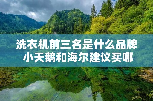 洗衣机前三名是什么品牌 小天鹅和海尔建议买哪个