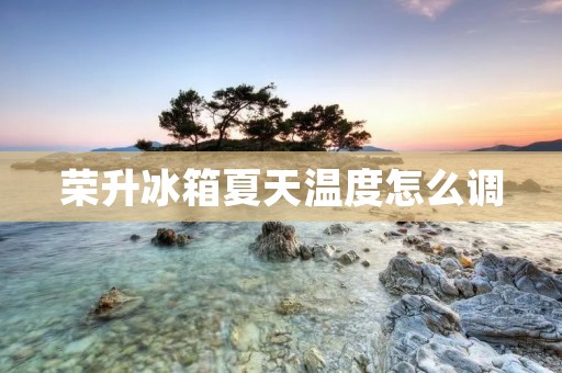 荣升冰箱夏天温度怎么调