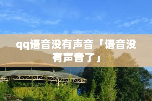 qq语音没有声音「语音没有声音了」