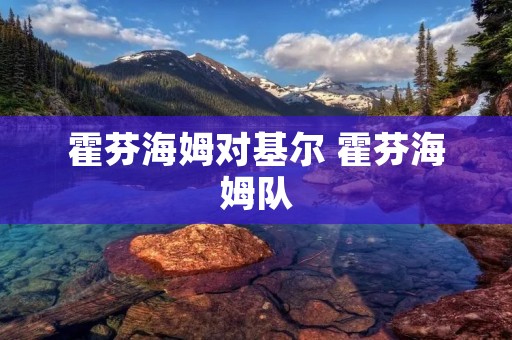 霍芬海姆对基尔 霍芬海姆队 霍芬海姆对基尔 霍芬海姆队