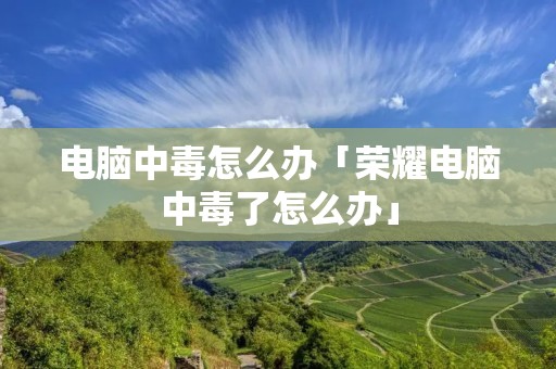 电脑中毒怎么办「荣耀电脑中毒了怎么办」