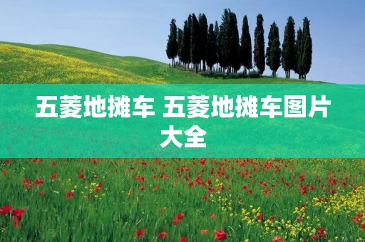 五菱地摊车 五菱地摊车图片大全