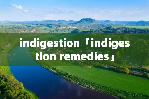 indigestion「indigestion remedies」